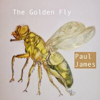 Moonstruck - Paul James