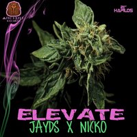 Elevate - Jayds & Nick'O