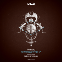 What Would You Do - Ray Mono & Darius Syrossian