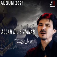Hussain Mehman - Ali Imran Naushad