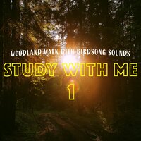 Woodland Walk with Birdsong Sounds, Pt. 10 - Bryan Maxwell