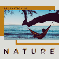 Nature Music - Relaxing Nature Sounds Collection