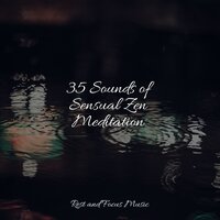 Cloudy Rays - Yoga Music & Musica Reiki & Massagem Coleção de Músicas