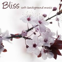 Lotus Flower - Meditation Masters