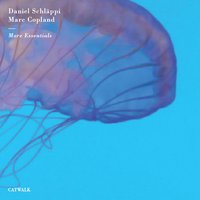 Essential 11 - Daniel Schläppi