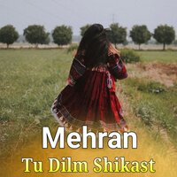 Nizaroghi - Mehran