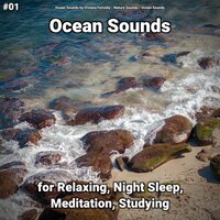 Ocean Sounds Part 16 - Ocean Sounds by Viviana Fernsby & Nature Sounds & Ocean Sounds
