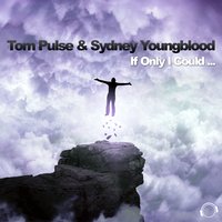 If Only I Could - Tom Pulse
