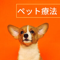 静かな雫たち - ペット療法