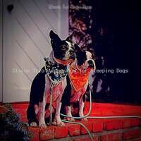 Lively Ambiance for Separation Anxiety - Music for Dogs Bgm
