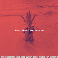 Wondrous Music for Brazilian Nights - Bossa Nova Jazz Moods