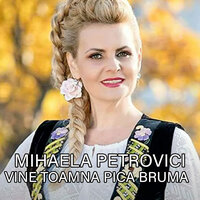 Vine toamna pica bruma - Mihaela Petrovici