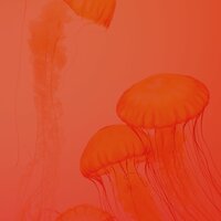 Мечты (Спать) - Известный Арфа Музыка