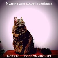 Моменты (Отдыхающие кошки) - Музыка для кошек