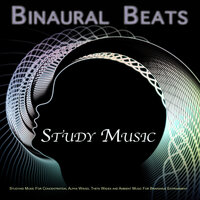 Ambient Study and Reading Music - Binaural Beats Study Music & Alpha Waves Concentration & Studying Music