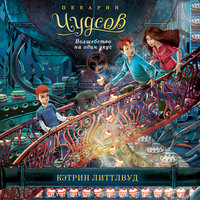 Кэтрин Литтлвуд. «Пекарня Чудсов. Волшебство на один укус». Часть 6 - Ольга Голованова