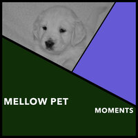 Gentle Kinship - Dogs Music Therapy & Dog's Music & Zen Dog