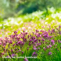 Glowing Sun Garden Soundscape, Pt. 18 - Steve Brassel