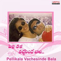 Nuvuleka Nelenu - S. P. Balasubramanyam