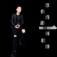 悲伤的酒一杯就醉 - 童波