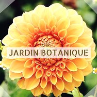 Chakra musique de guérison - Jardin japonais