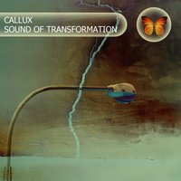 Sound of Transformation - Callux