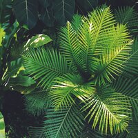 Oceanside Ballad - Nature Sound Collection & Ocean Waves for Sleep & Weather Factory