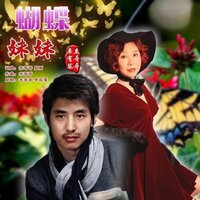 蝴蝶妹妹 - 杰哥哥 & 单有琴
