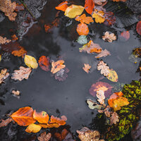 Tiny Raindrops - Heavenly Realms