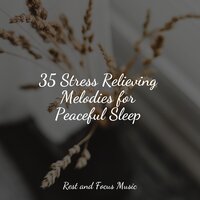 Steadiness of Spirit - Meditação Maestro & Spa & Spa & Childrens Music