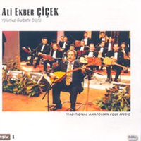 Meydan Saz - Ali Ekber Çiçek