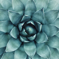 Ambient Sounds for Peace - Relaxing Music Therapy & Concentration Music for Work & Binaural Beats