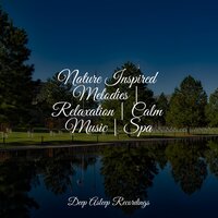 Breeze Through the Leaves - Powerthoughts Meditation Club & Sleep Sound of Nature & Amazing Spa Music
