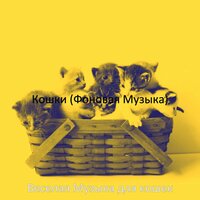 Впечатление (Сонные кошки) - Веселая Музыка для кошек