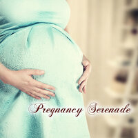 Inner Bliss - Pregnancy Soothing Songs Masters