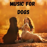 Stress Removal - Music for Dogs & Music for Dogs Peace & Relaxing Puppy Music & Calm Pets Music Academy