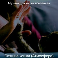 Созерцая (Подчеркнутые кошки) - Музыка для кошек вселенная