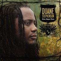 Dream Weaver - Duane Stephenson