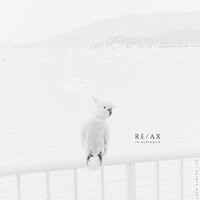 Relax 6: Visiting Cockatoo - re/ax & Juan Carlos Lax