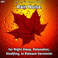 Rain Sounds for Dog Barking - Rain Sounds & Nature Sounds & Rain Sounds by Alannah Merikanto