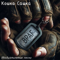 Враг (Двадцатилетие песни) - Кошка Сашка