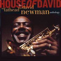 One Room Paradise - David Newman