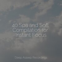 Fresh Air - Spa Music Relaxation & The Rainforest Collective & Asian Zen Spa Music Meditation