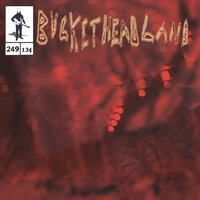 City of Lutes - Buckethead