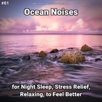Ocean Noises Pt. 11 - Beach Sounds & Nature Sounds & Ocean Sounds