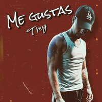 Me Gustas - Trey