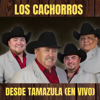La Chuparosa (En Vivo) - Los Cachorros