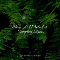 Chimes on the Wind - Meditation Relaxation Club & Massage Therapy Music & Bath Spa Relaxing Music Zone