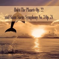 Symphony No. 3 in C Minor, Op. 78 "Organ Symphony": I. Adagio – Allegro moderato - Los Angeles Philharmonic & Zubin Metha & Anita Priest & Камиль Сен-Санс