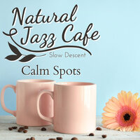With the Ragtime Barista - Slow Descent